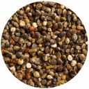 Vitakraft (Витакрафт) «Mauserhilfe» - Витаминизированная добавка для крупных и средних попугаев (при линьке) 25 гр