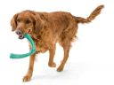 West Paw (Вест Пау) Seaflex Snorkl - Сноркл Іграшка для собак