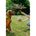 Whimzees (Вимзис) Wellness Daily Dental Treats Toothbrush - Натуральные лакомства для зубов собак