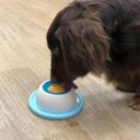 DoggyMan (ДоггиМен) Lick Ball - Миска для собак для жидких лакомств, жидкого корма, пюре