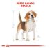 Royal Canin (Роял Канин) Beagle Adult - Сухой корм для собак породы бигль
