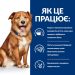 Hills (Хилс) Prescription Diet Canine Derm Complete - Лечебный сухой корм для собак при пищевой аллергии и атопическом дерматите (яйцо/рис)