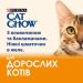 Cat Chow (Кэт Чау) Adult Консервы для взрослых кошек с говядиной и баклажанами в желе