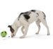 West Paw (Вест Пау) Zogoflex Echo Rumbl – Игрушка для лакомств для собак, S