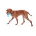 West Paw (Вест Пау) Tizzi Dog Toy - Игрушка Тиззи для лакомств для собак, S (11 см)