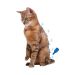 Beaphar (Беафар) Immo  Shield Line-on Капли с диметиконом от паразитов для кошек