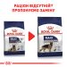 Royal Canin (Роял Канин) Maxi Ageing 8+ - Сухий корм для собак крупных пород старше 8 лет
