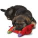 Petstages (Петстейджес) Puppy Cuddle Pal - Игрушка для собак и щенков подушка "Сладкий сон"