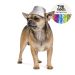 Pet Fashion (Пет Фешн) The Mood Party - Панама для собак зимняя
