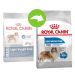 Royal Canin (Роял Канин) Maxi Light Weight Care - Сухой корм для собак крупных пород с избыточным весом