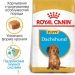 Royal Canin (Роял Канин) Dachshund Puppy - Сухой корм для щенков таксы