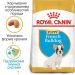 Royal Canin (Роял Канин) French Bulldog Puppy - Сухой корм для щенков французского бульдога