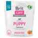Brit Care (Брит Кеа) Dog Grain-free Puppy - Сухой беззерновой корм с лососем для щенков