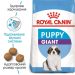 Royal Canin (Роял Канин) Giant Puppy - Сухой корм для щенков гигантских пород от 2 до 8 мес.