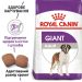 Royal Canin (Роял Канин) Giant Adult -Сухой корм для взрослых собак гигантских пород