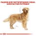 Royal Canin (Роял Канин) Golden Retriever Adult - корм для голден ретриверов