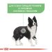 Royal Canin (Роял Канин) Medium Digestive Care - Сухой корм для собак средних пород с чувствительным пищеварением