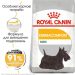 Royal Canin (Роял Канин) Mini Dermacomfort - Сухой корм для собак мелких пород с чувствительной кожей