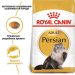 Royal Canin (Роял Канин) Persian Adult - Сухой корм для взрослых кошек Персидской породы