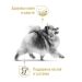 Royal Canin (Роял Канин) Pomeranian Adult – Сухой корм для взрослых собак породы померанский шпиц