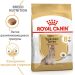 Royal Canin (Роял Канин) Yorkshire Ageing 8+ - Сухой корм для пожилых собак породы йоркширский терьер