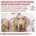 Royal Canin (Роял Канин) Urinary S/O Canine Ageing 7+ - Лечебные консервы для собак при заболеваниях нижних мочевыводящих путей (паштет)