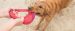 West Paw (Вест Пау) Seaflex Sailz- Сализ фрисби Игрушка для собак