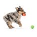 West Paw (Вест Пау) Rando - Игрушка мяч для собак, S (6 см)