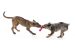 West Paw (Вест Пау) Wox Dog Toy - Игрушка треног для собак, L (19 см)