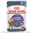 Royal Canin (Роял Канин) Appetite Control Care in Jelly - Консервированный корм для контроля выпрашивания еды у кошек (кусочки в желе)