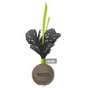 Joyser Cat Ball Green игрушка с кошачьей мятой для котов