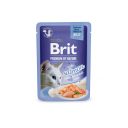 Brit Premium (Брит Премиум) Delicate Fillets in Jelly Salmon - Влажный корм для кошек филе в желе лосось