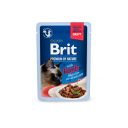 Brit Premium (Брит Премиум) Delicate Fillets in Gravy Lamb for Sterilised - Влажный корм для стерилизованных кошек филе в соусе ягненка