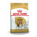 Royal Canin (Роял Канин) Beagle Adult - Сухой корм для собак породы бигль