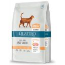 Quattro (Кваттро ) Cat Adult Extra Poultry - Сухой корм для взрослых котов с птицой