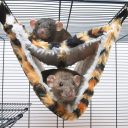 Savic Relax De Luxe Fake Fur гамак для крыс, хорьков