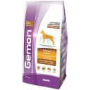 Gemon (Джемон) Maxi Adult - Сухий корм для дорослих собак великих порід з куркою та рисом