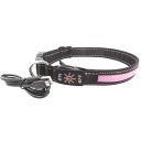 AnimAll (ЭнимАлл) Collar LED - Ошейник светящийся для собак (с подзарядкой USB), 30-40 см