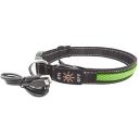 AnimAll (ЭнимАлл) Collar LED - Ошейник светящийся для собак (с подзарядкой USB), 40-50 см