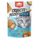 Wanpy (Ванпи) Crunchy Pockets Chicken - Лакомство для котов хрустящие подушечки с курицей