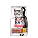 Hills ( Хілс ) SP Adult Hairball Indoor Cat корм для дорослих домашніх котів з куркою