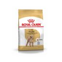 Royal Canin (Роял Канин) Poodle - Сухой корм собак породы для пудель