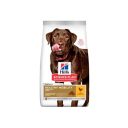 Hills (Хилс) SP Adult Large Breed Healthy Mobility Сухой корм с курицей и хондропротекторами для поддержания здоровья суставов у взрослых собак крупных пород