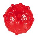 Trixie (Трикси) Игрушка для собак мяч игольчатый с пищалкой, термопластичная резина