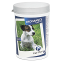 Ceva (Сева) Pet Phos CROISSANCE Ca/P = 2 - Витаминно-минеральный комплекс для щенков и взрослых собак, кормящих домашним рационом