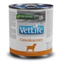 Farmina (Фармина) Vet Life Convalescence - Лечебные консервы для собак в период выздоровления