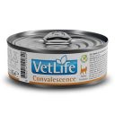 Farmina (Фармина) Vet Life Convalescence - Лечебные консервы для кошек в период выздоровления
