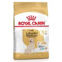 Royal Canin (Роял Канин) Labrador Retriever Adult 5+ - Сухой корм для лабрадоров старше 5 лет