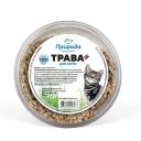 ТМ "Природа" Трава быстрорастущая для котов и кошек, 70 гр