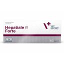 VetExpert (ВетЭксперт) Hepatiale Forte - Пищевая добавка для поддержания и восстановления функций печени собак и кошек (таблетки)